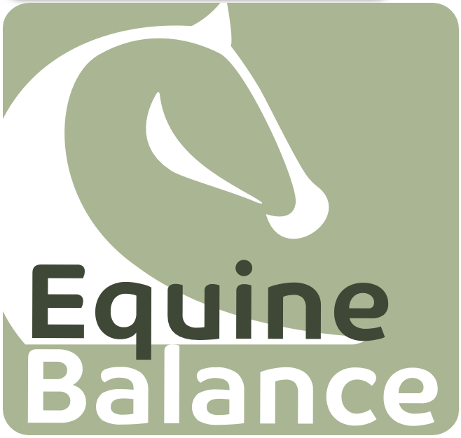 ebequinebalance.de Bregenz